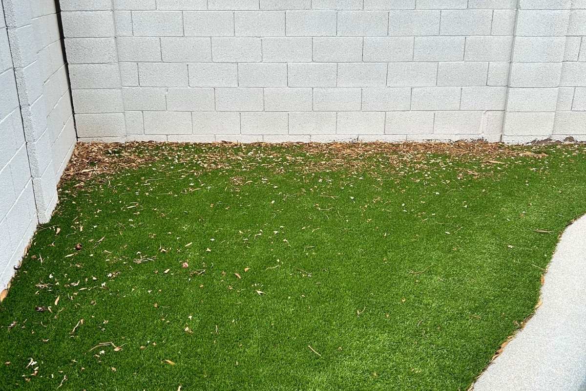 Photo of leaves and debris on artificial grass
