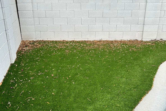 Photo of leaves and debris on artificial grass